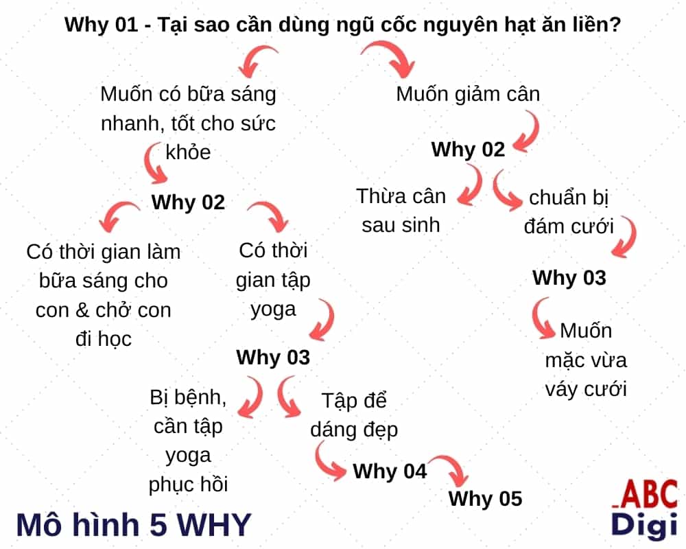 mô hình 5 whys