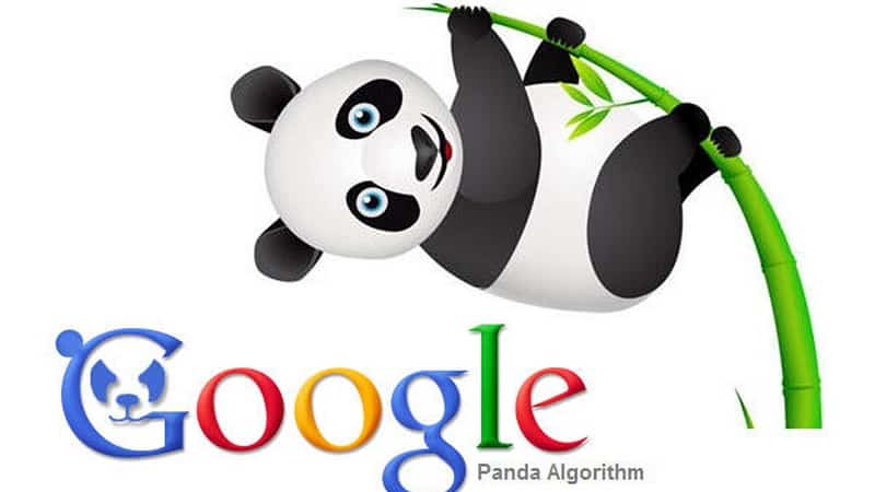 Hình ảnh Tối ưu SEO theo 8 thuật toán lõi của Google 14 abc-digi-8-thuat-toan-loi-của-Google-panda