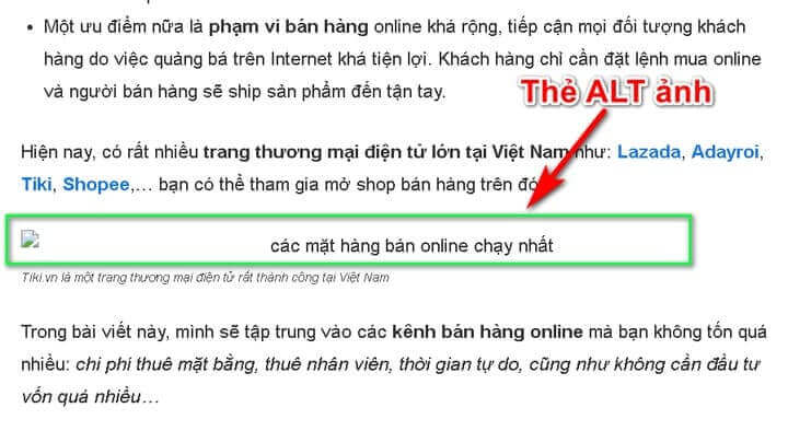 Hình ảnh 9 Bước và 9 Lưu Ý Quan Trọng Tối Ưu SEO Hình Ảnh 27 Tác dụng của thẻ alt hình ảnh