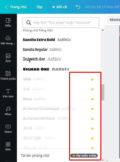 các mẫu có tính phí có biểu tượng vương miện