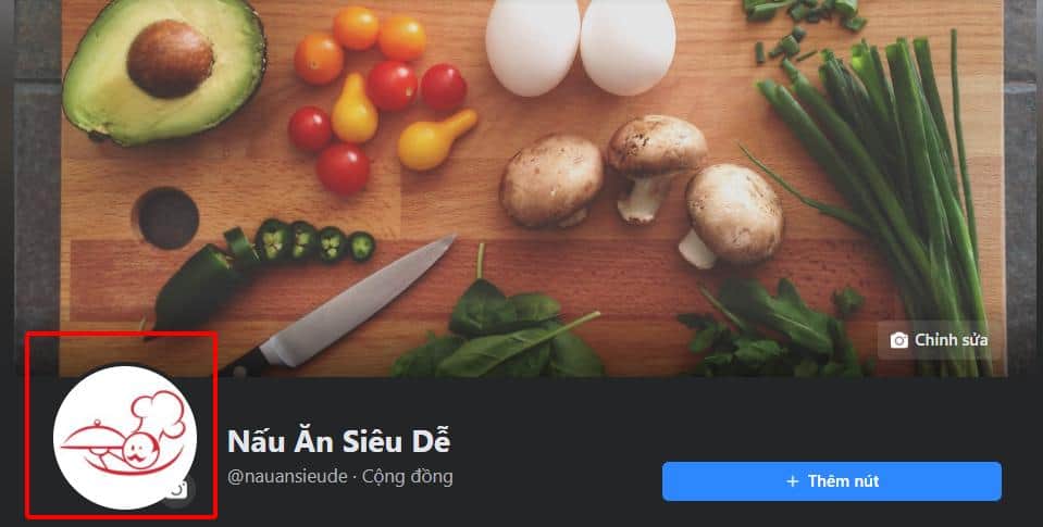 Hình ảnh Các Kích Thước Ảnh Trên Facebook, YouTube, Instagram, Linkedin 56 avata-anh