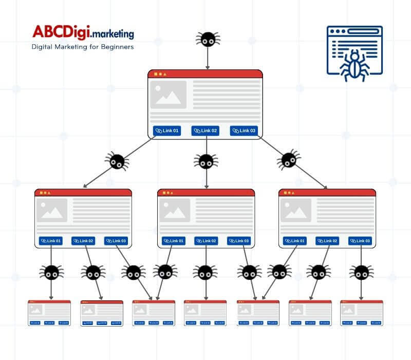 Hình ảnh Crawl là gì? Hiểu đúng về Google Web Crawler 2021 11 cách bot đi theo các link để tìm kiếm dữ liệu