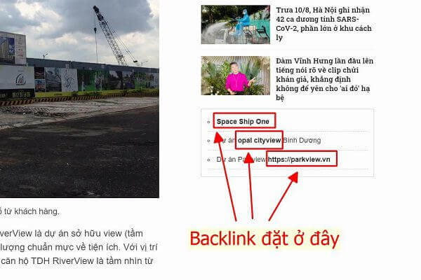 gói backlink sidebar báo