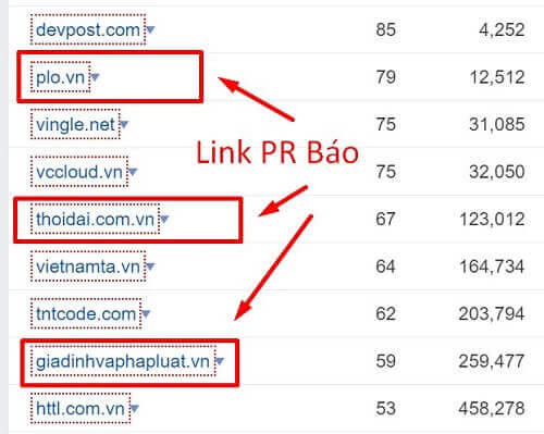 Kiểm tra Referring Domain Trên Ahrefs