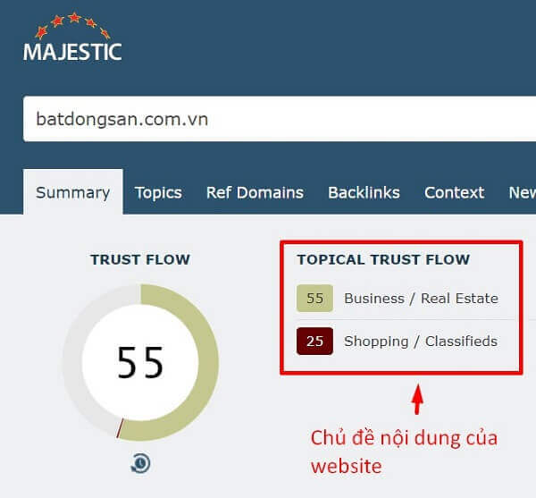 Cách đọc chỉ số trên Majestic