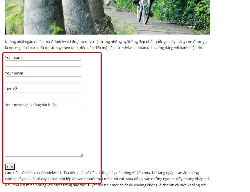 Hình ảnh Hướng Dẫn Cài Đặt Và Sử Dụng Contact Form 7 Trên WordPress 21 form hien thi sau khi dan shortcode