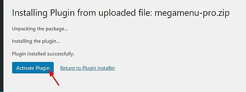 Activate Plugin