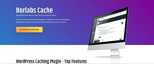 Borlabs Cache