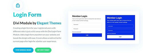 Login Form