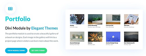 Portfolio
