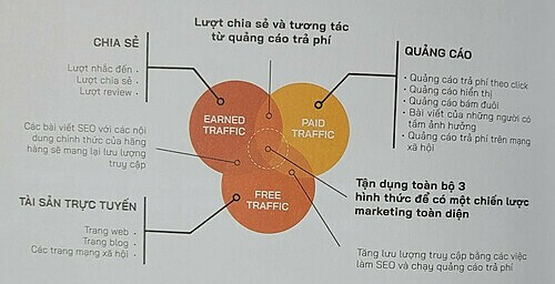 anh minh hoa 3 loai traffic
