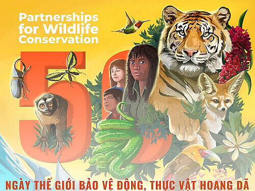 Hình ảnh Dự Đoán Trend Tháng 03 Và Tổng Hợp Các Ý Tưởng Có Thể Triển Khai 16 trend-thang-3-2024-3