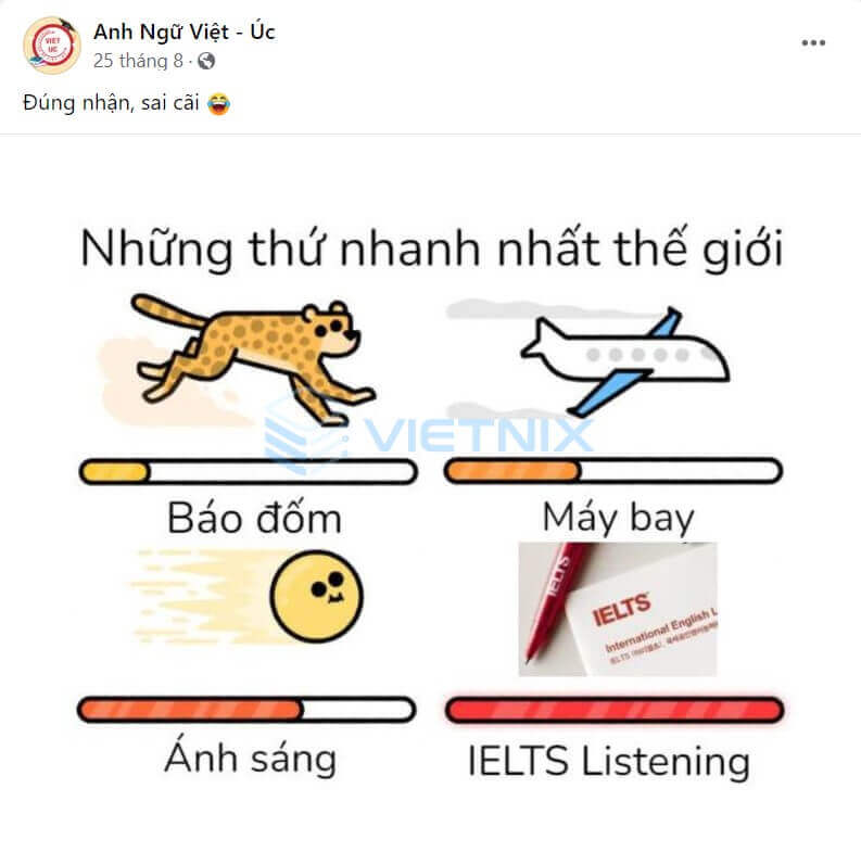 1000 Mau Content Hai Huoc Hot Trend 11