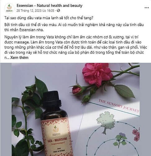 dau vata trong yoga