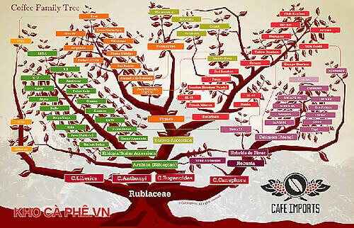 y-tuong-content-quan-cafe-1