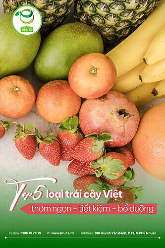 content-ve-trai-cay-12