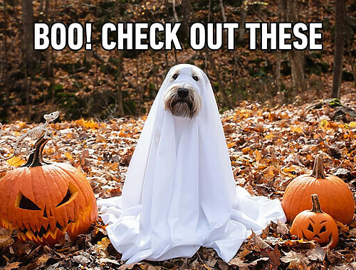 content-halloween-10