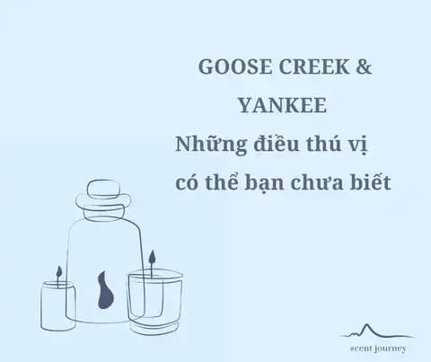 Hình ảnh 10+ Mẫu Content Nước Hoa Hấp Dẫn Khách Hàng Giúp Tăng Tỷ Lệ Chuyển Đổi 11 content nuoc hoa 4