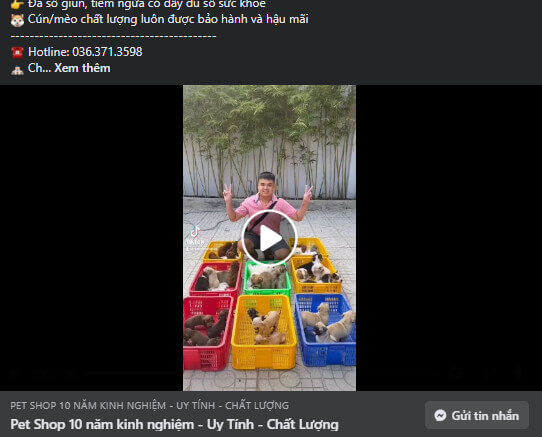 Hình ảnh 15 Ý Tưởng Content Thú Cưng Hấp Dẫn Giúp Bạn Đa Dạng Hóa Nội Dung Cho Doanh Nghiệp 14 content thu cung 2