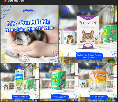 Hình ảnh 15 Ý Tưởng Content Thú Cưng Hấp Dẫn Giúp Bạn Đa Dạng Hóa Nội Dung Cho Doanh Nghiệp 10 content thu cung 6