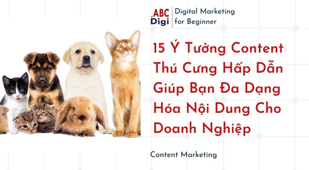 content thu cung
