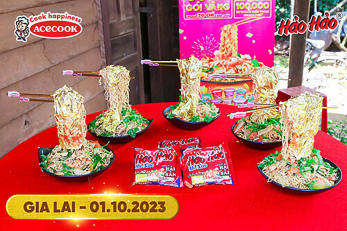 case-study-hao-hao (5)