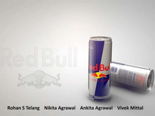 case-study-redbull-stratos (15)