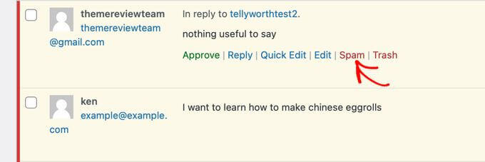 Hình ảnh Antispam Bee - Plugin Chống Spam Miễn Phí Được Đánh Giá Cao 11 AntiSpam Bee 5