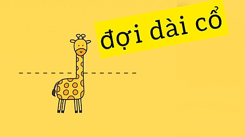 convenience-trong-4c (11)