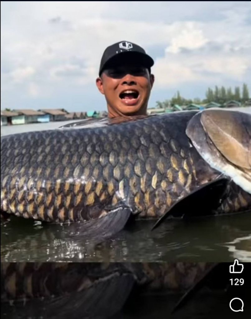 casestudy content giai tri nhung ban hang tot abc digi 2